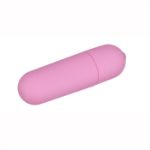 Image de MINI BULLET ROSE