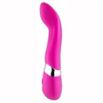 Image de NICHA RECHARGEABLE ROSE