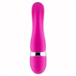 Image de NICHA RECHARGEABLE ROSE
