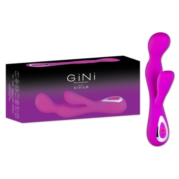 Image de GINI