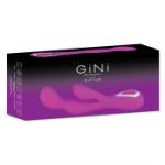 Image de GINI