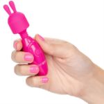 Image de Tiny Teasers Bunny