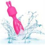 Image de Tiny Teasers Bunny