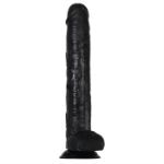 Image de 15" DARK RIDER