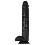 Image de 15" DARK RIDER