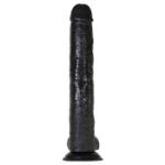 Image de 15" DARK RIDER