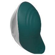 Image de PALM PLEASURE