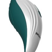 Image de PALM PLEASURE
