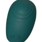 Image de PALM PLEASURE