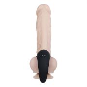 Image de Vibrating Ball Cradle