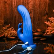 Image de REMOTE ROTATING RABBIT