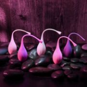 Image de Tight & Delight - Kit