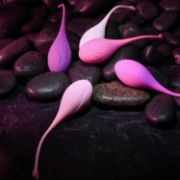 Image de Tight & Delight - Kit