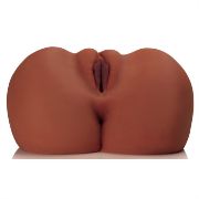 Image de PDX Plus EZ Bang Torso - Brown