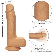 Image de Dual Density - Silicone Studs 6.25”/16 cm - Ivory