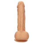Image de Dual Density - Silicone Studs 6.25”/16 cm - Ivory